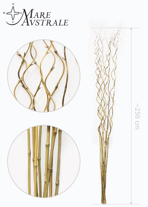 Spirala bambusowa
